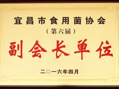 裕禾菌業(yè)獲誠宜昌食用菌協(xié)會(huì)副會(huì)長(zhǎng)